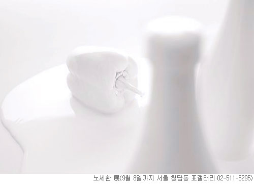 [׸ ִ ħ] Ʈٿ  