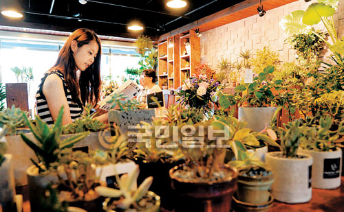 [포토 카페] 플라워카페의 휴식  
