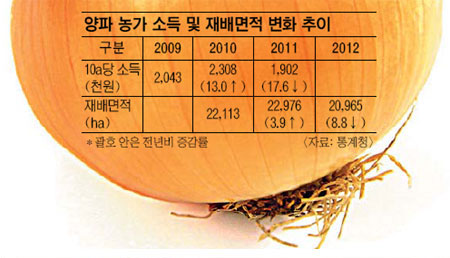 양파값 고공행진 날씨탓만은 아냐  