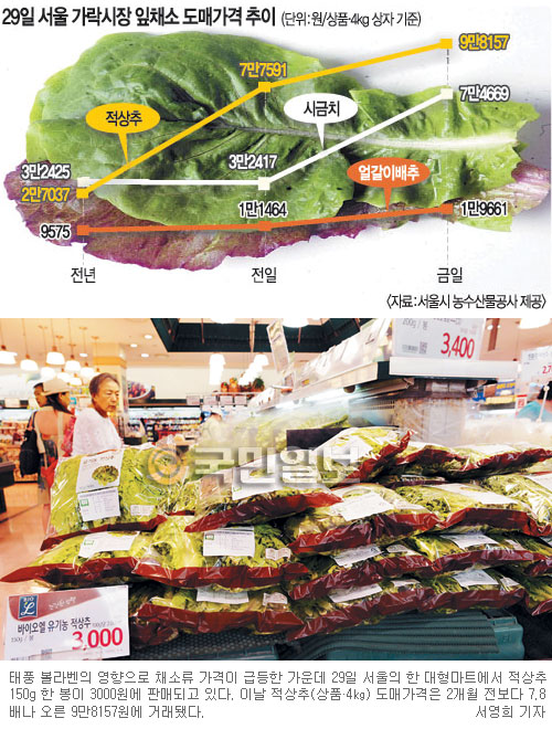상추값이 기가 막혀… ‘볼라벤’ 지나간 자리 ‘물가 태풍’ 비상  
