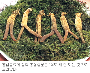 홍삼없는 홍삼음료 ‘얄팍한 상술’  