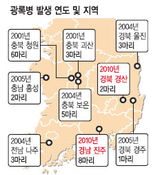 Ϻ Ȯꡦ  캴 Ǹ Ƴ  ޱ ˿ ճ  