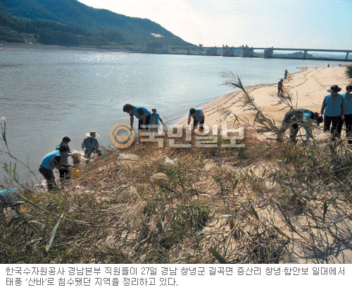 4대강 사업으로 조성된 낙동강변 110개지구 생태공원, 지자체 관리 재원 부족… 곳곳 방치  