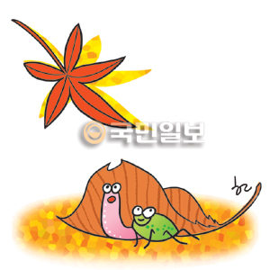 [ھ] ٶ ãƿ  