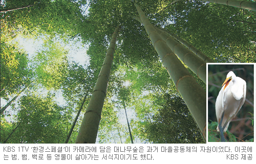 Ƴ ִ 볪   KBS1 ȯ潺ȡ  