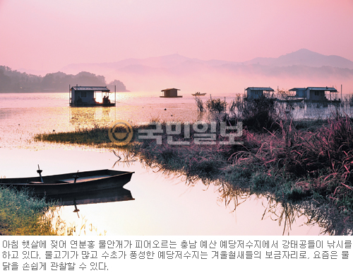 [ѱ νƼ  С ȴ´] (롤) ｽνƼ & ȽνƼ  