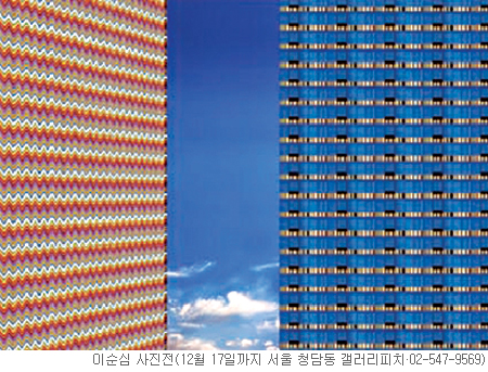 [׸ ִ ħ]  Ƽ  