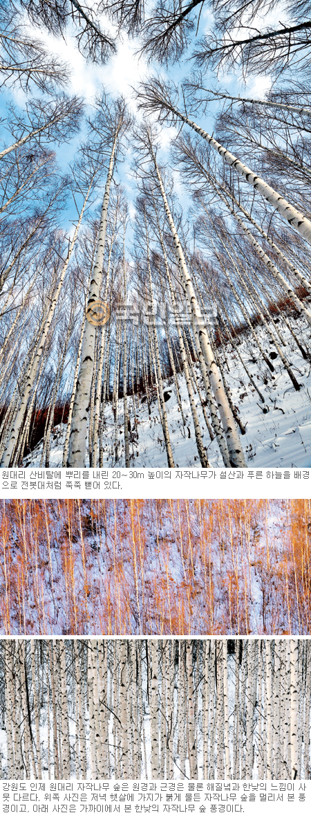 ׿  ޺޺ Ͼ ȥ顦  븮 ۳ ܿƮŷ  