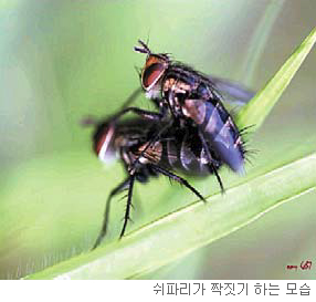 [사이언스 토크] 첨단 DNA 채집기  