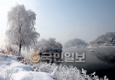 [޸-δ밣 ϴ ] ߿  С źݴ 롤Ȱ ȲȦ  