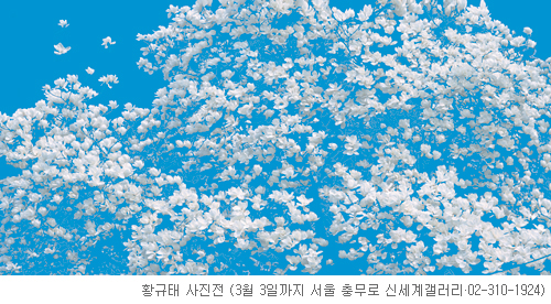 [׸ ִ ħ] ɵ   