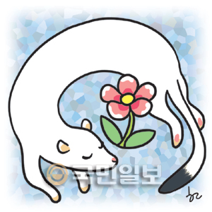 [ھ]    