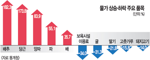 물가 상승률 넉달째 1%대라는데… 신선채소 25%↑, 배추 182%·당근 174% 폭등  