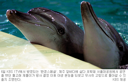 յ    ư KBS1 ȯ潺ȡ  