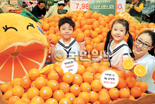 신맛 적고 씨 없는 ‘네이블 오렌지’  