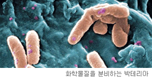 [사이언스 토크] 치명적인 ‘외로움’  