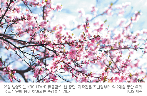  ǳ 췯   θ  KBS1 ť  