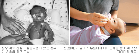 [3 ] 츮 ݸ  δٸ顦 ̸̵ 졯ó ǰ ã  ִ  