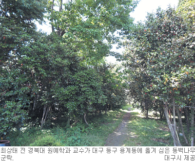 뱸 鳪    