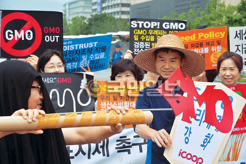 GMO ƿ  