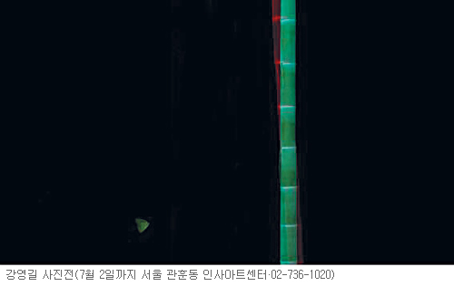 [׸ ִ ħ] ð    