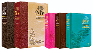 ,   NIV ؼ桯 Ⱓ  