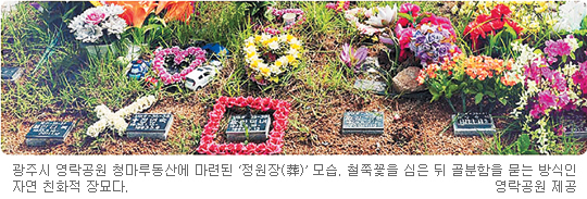  ư  ǰ  Ǹ  ڿ 뼼  