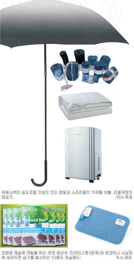 帶ö 츮   溸 ǰ  Ȱ OK  
