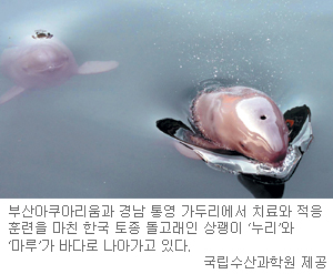      ٴٷ ư䡱  