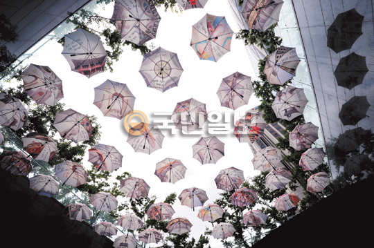 [포토 카페] 시민을 위한 우산이 될게요!  