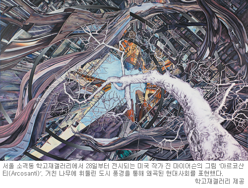  춧 ڸ Ծ  ۰ 衦  ̾   