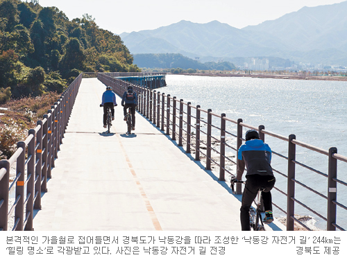 낙동강 자전거 길 달리며 가을을 노래 하세요  