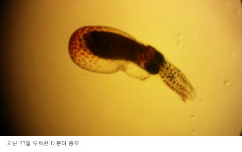   ù 빮    