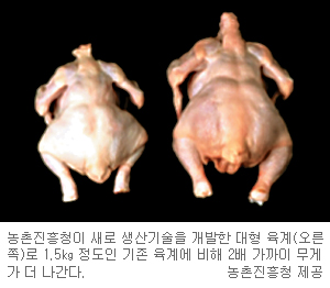 κ       