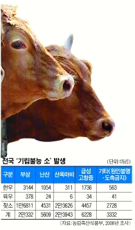 [ܵ] ٿʡ 2012 3500 κ е졯 ɼ  