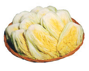  ӹ ϼ䡦 aT, 11 8ϱ Ǹ  