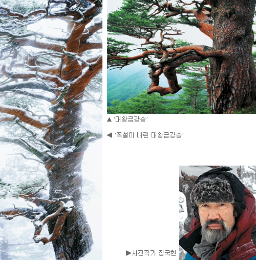ձݰۡ  ١ 屹 ǰ ѹα Ʈ佺Ƽ 2013 Ư  