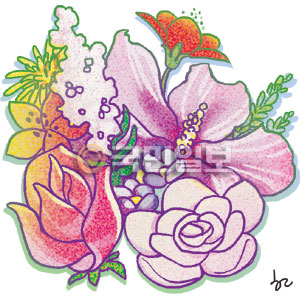 [ھ] ǽ  