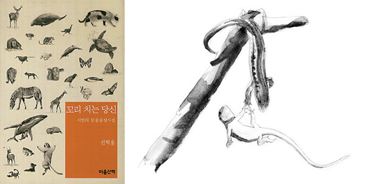 [å ] 졤踻 翬 ½   ̾߱  