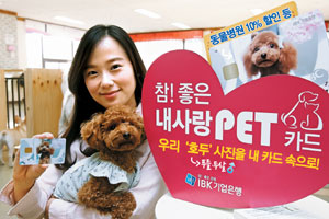 [2013 Ϲݱ Ʈǰ-IBK]  PETī  