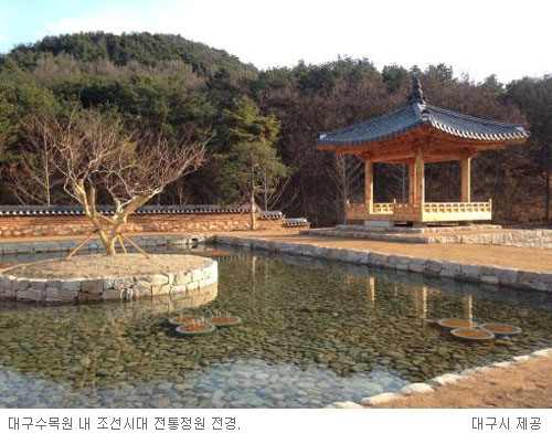 뱸 ô븦 ١ 뱸    