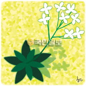 [ھ] ׾ Ⱑ    