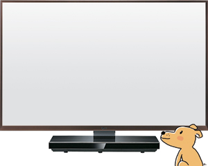 ߰   TV ON  