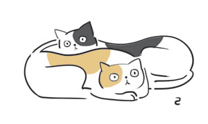 [ ϸ-켱] ״뿡Ե ູ  