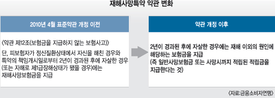  ̹ ڻ캸   