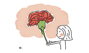 [ ϸ-켱]   