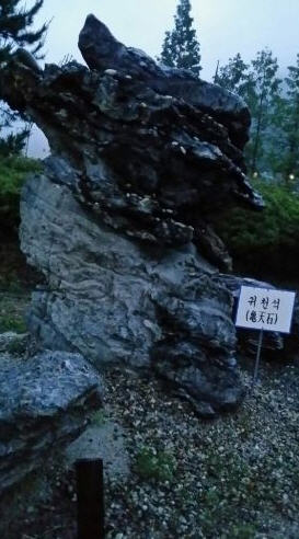 ,  Ӹī  40ϰ 忡 ġ  