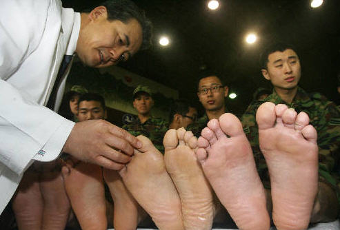  , ȯڰ  ơ ڽ Ÿŷ  ϡ  