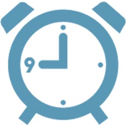 9  桦   ٸ  Ȯ   