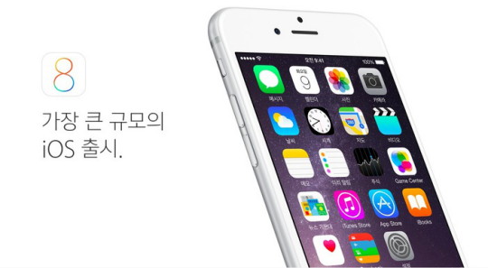  iOS Ʈ  1ð  ߴ, ɰ  ⿡  